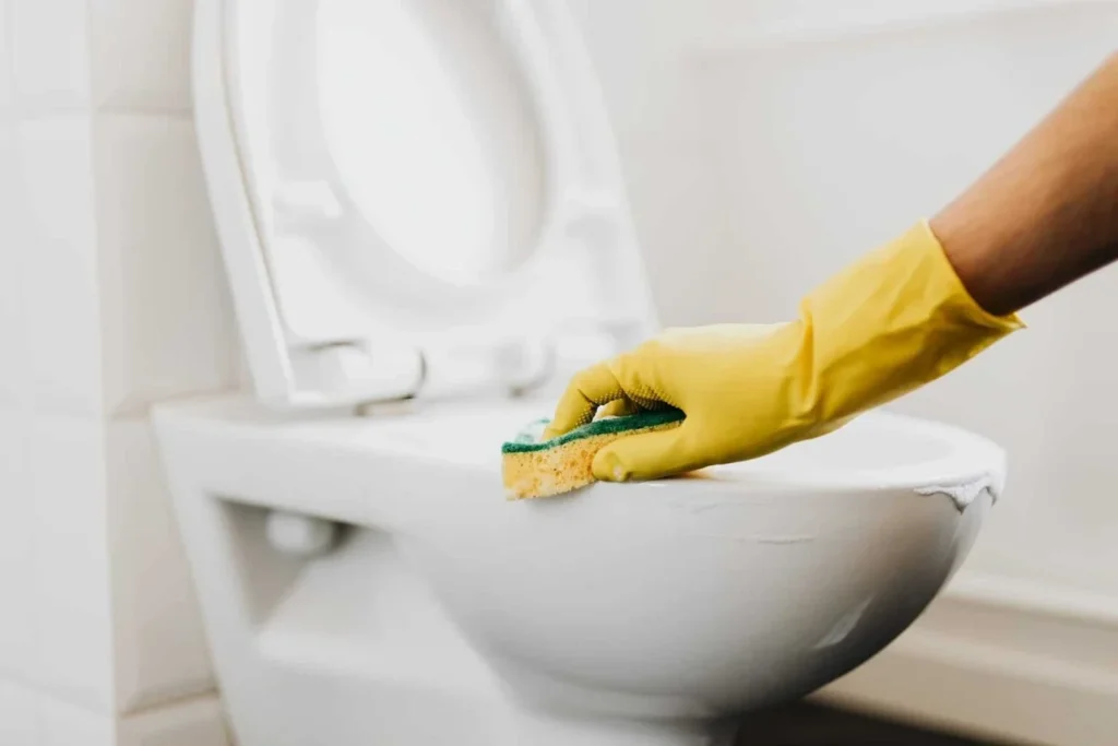 Expert Cleaning Services For Washroom